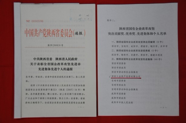 2009年2月，，被陕西省委、省敌灾授予陕西省国有企业鼎新攻坚先进集体