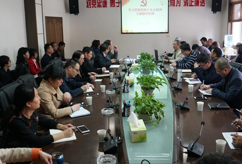 集团召开系统党组织书记学习十九大心灵专题培训会