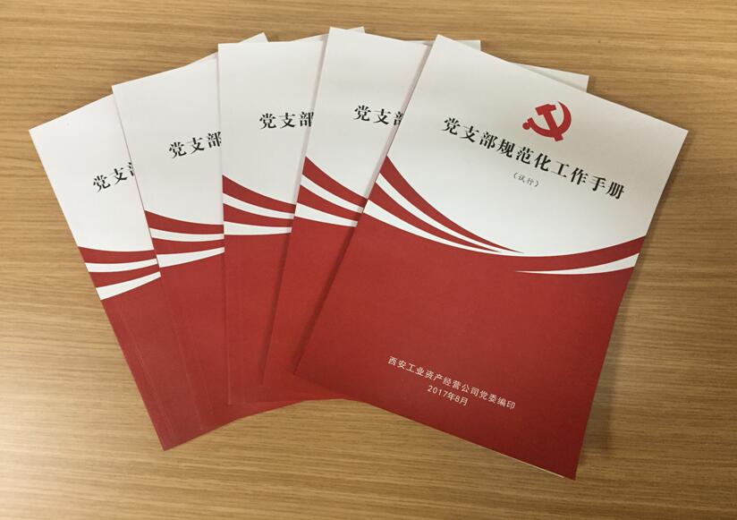 公司党委着力推动基层党建工作系列报道（之四）