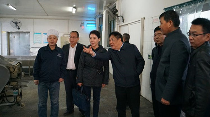 集团辅导金辉率队到西安太阳食品有限公司调研