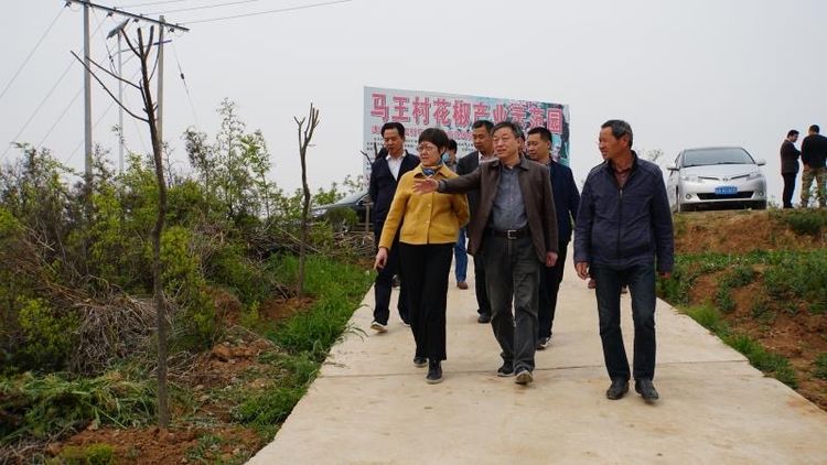 市国资委党委副书记任晓今一行放哨领导集团帮扶的蓝田县马王村“三排查 三清零”工作